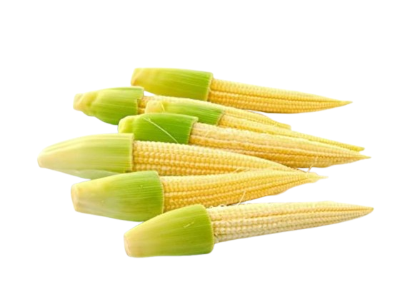 Baby Corn