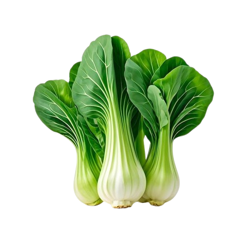 Bok Choi
