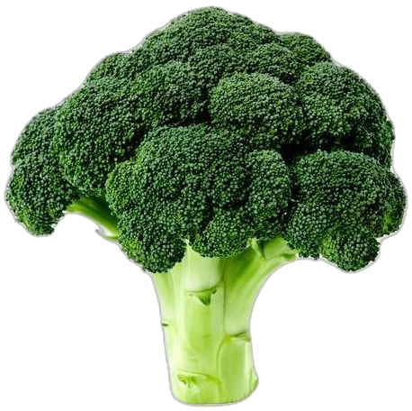 Broccoli