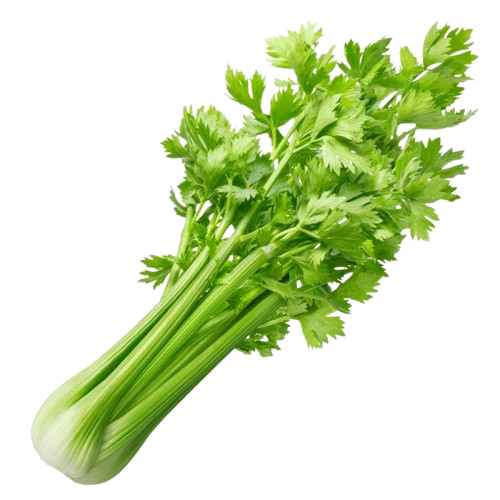 Celery