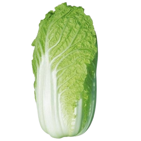 Chinese Cabbage