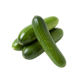 English Cucumber