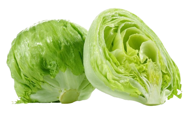 Iceberg Lettuce
