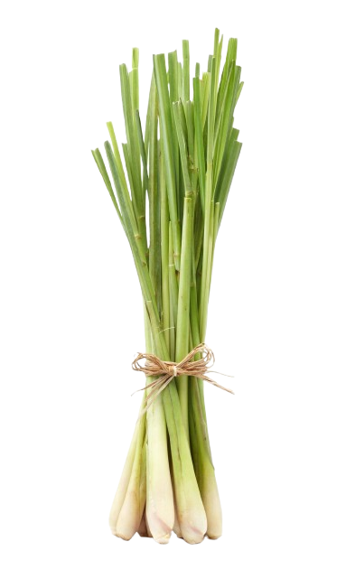 Lemon Grass