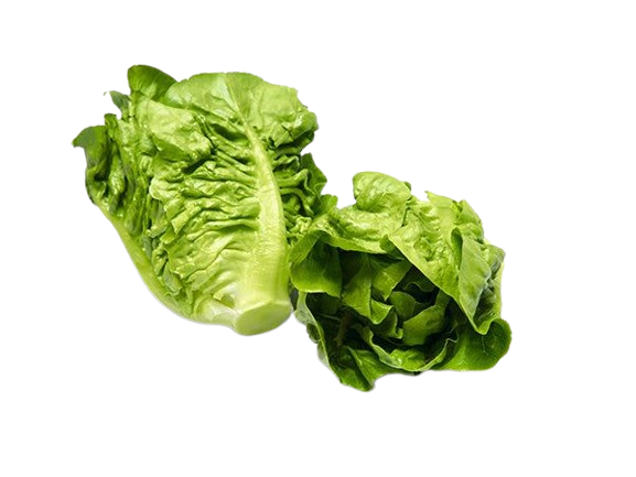 Mini Lettuce (Brussels Sprout)