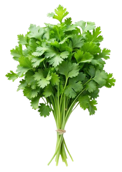 Parsley