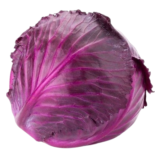 Red Cabbage