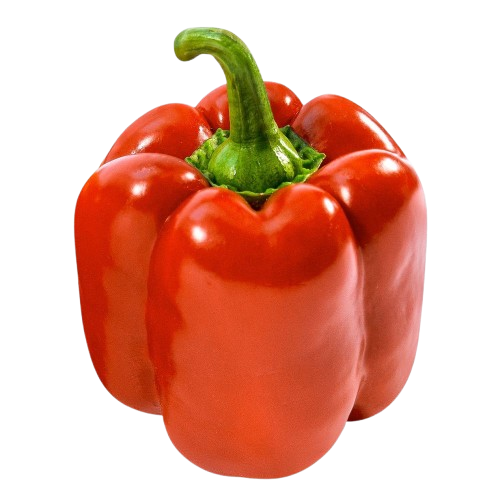 Red Capsicum