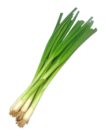 Spring Onion