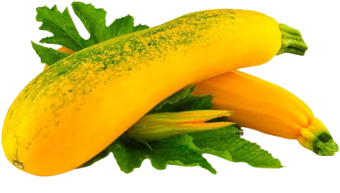 Yellow Zucchini