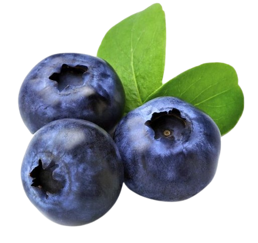 Blueberry