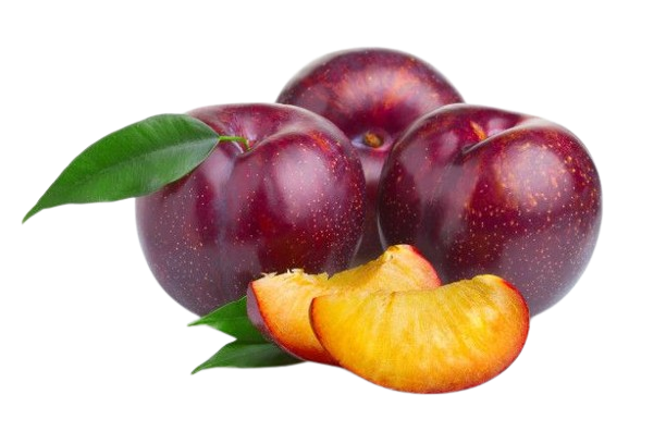 Imported Plums