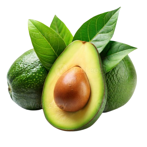 Indian Avocado
