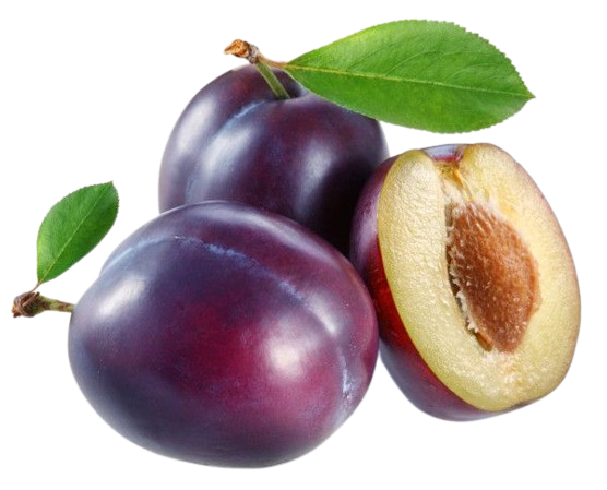 Indian Plums