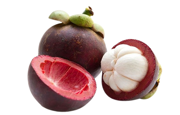 Mangosteen
