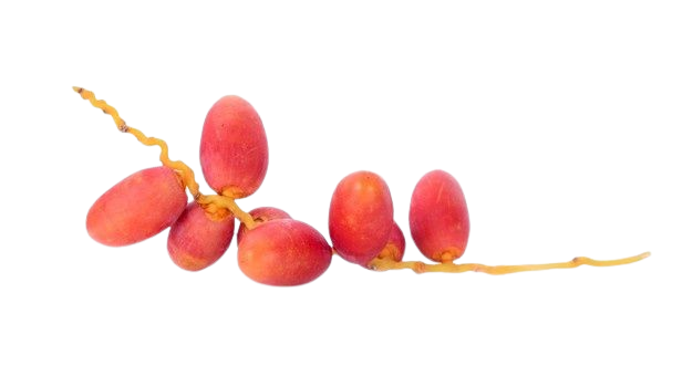 Red Fresh Dates