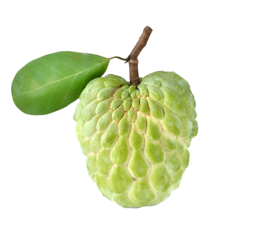 Custard Apple