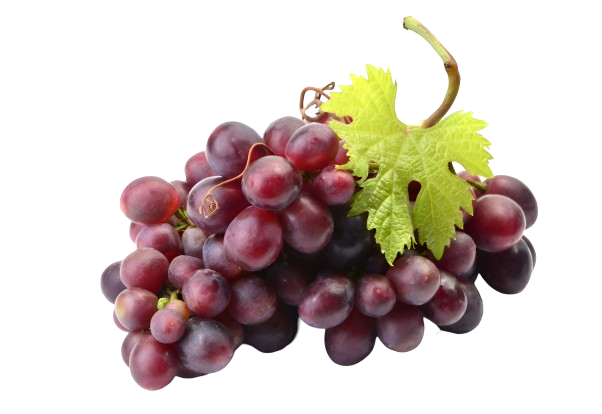 Dilkush Grapes