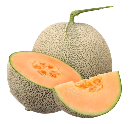 Muskmelon
