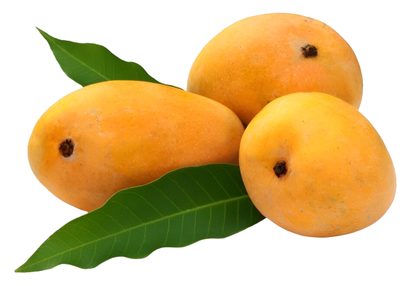 Special Mango